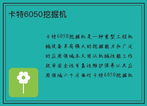 卡特6050挖掘机